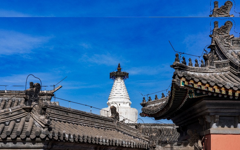 Beijing to Xi'an by Train or Plane 