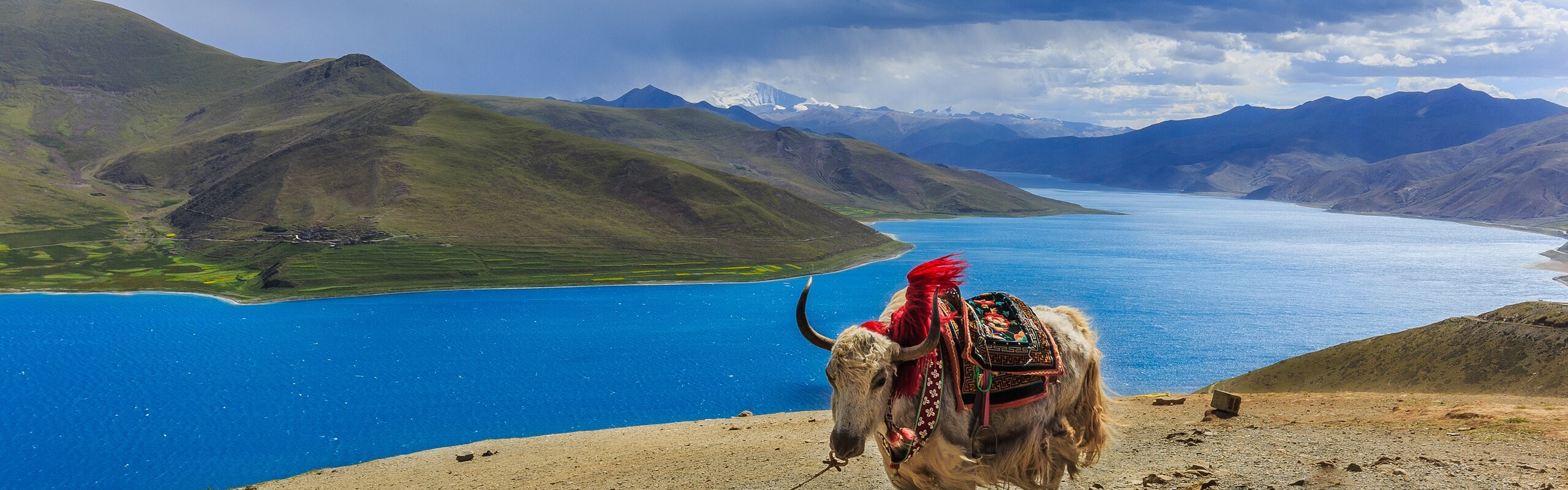 Tibet Travel Permit Guide 2026: Who Needs It & How to Apply