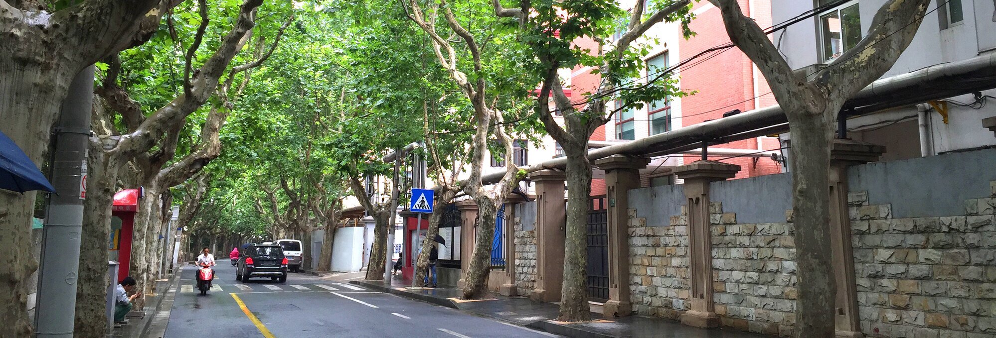 Half-day Shanghai Old Town Biking Tour with Food Tasting