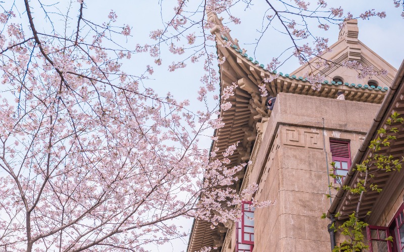 Guangzhou - Wuhan Trains 