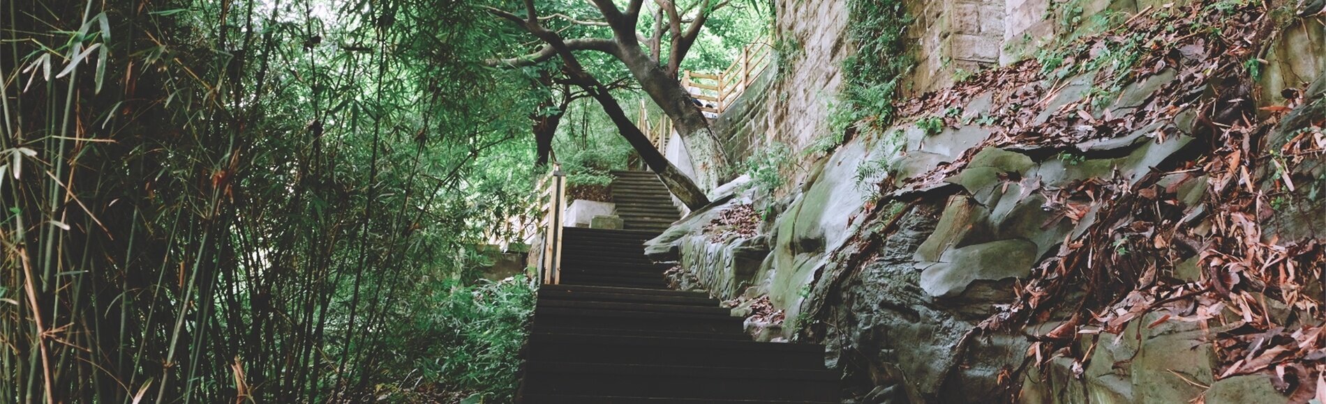 Half-day Chongqing Walking: Shancheng Lane or Huangge Road 