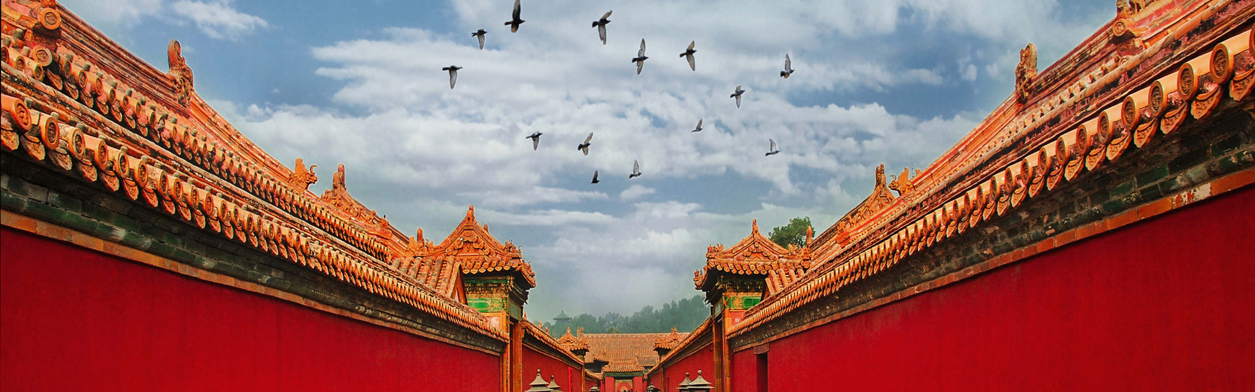 Beijing Small Group Day Tours